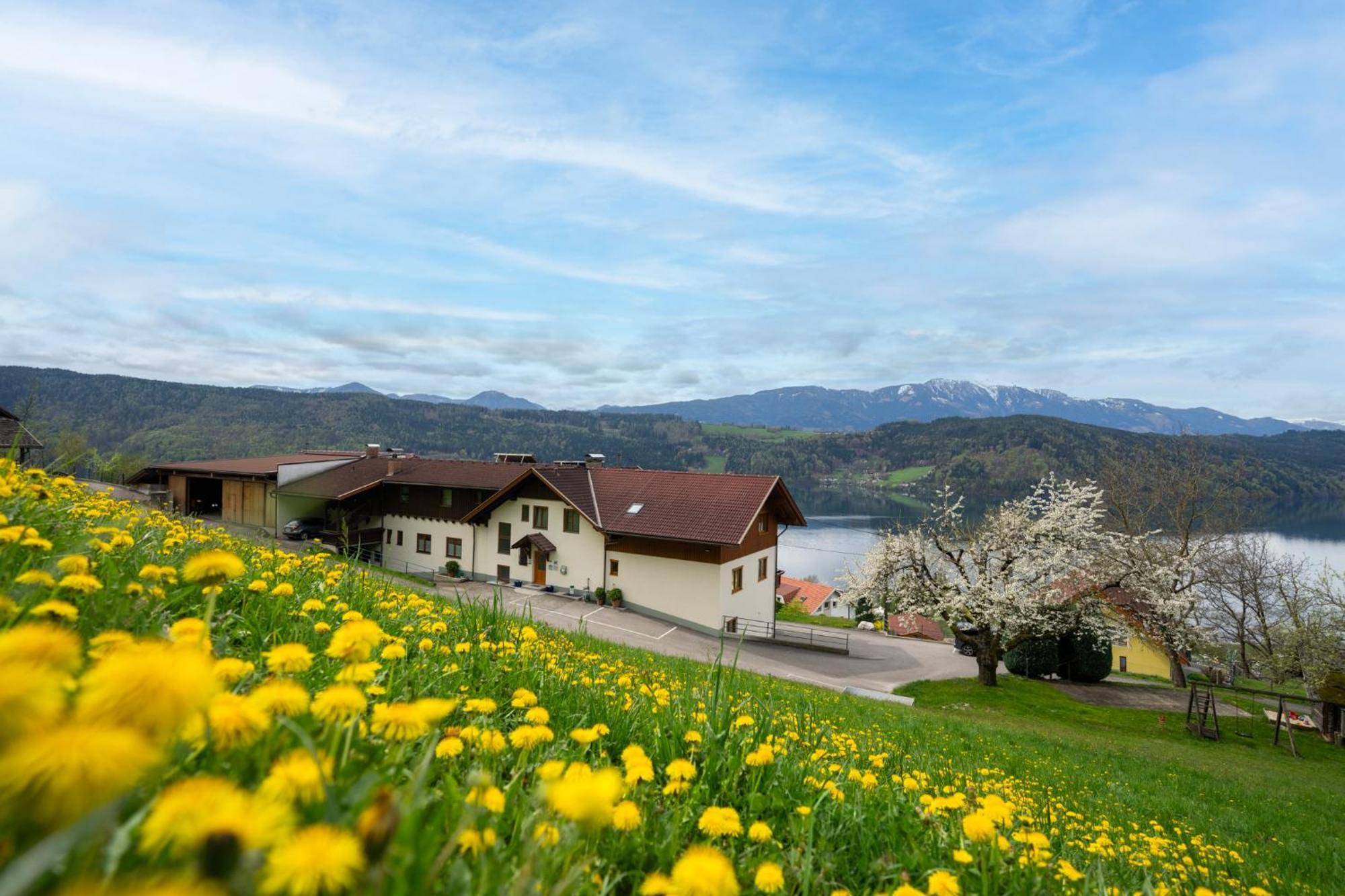 Götzfried-hof Millstatt am See